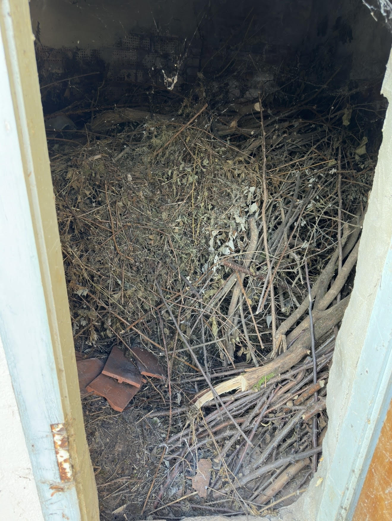 Entrümpelung vorher