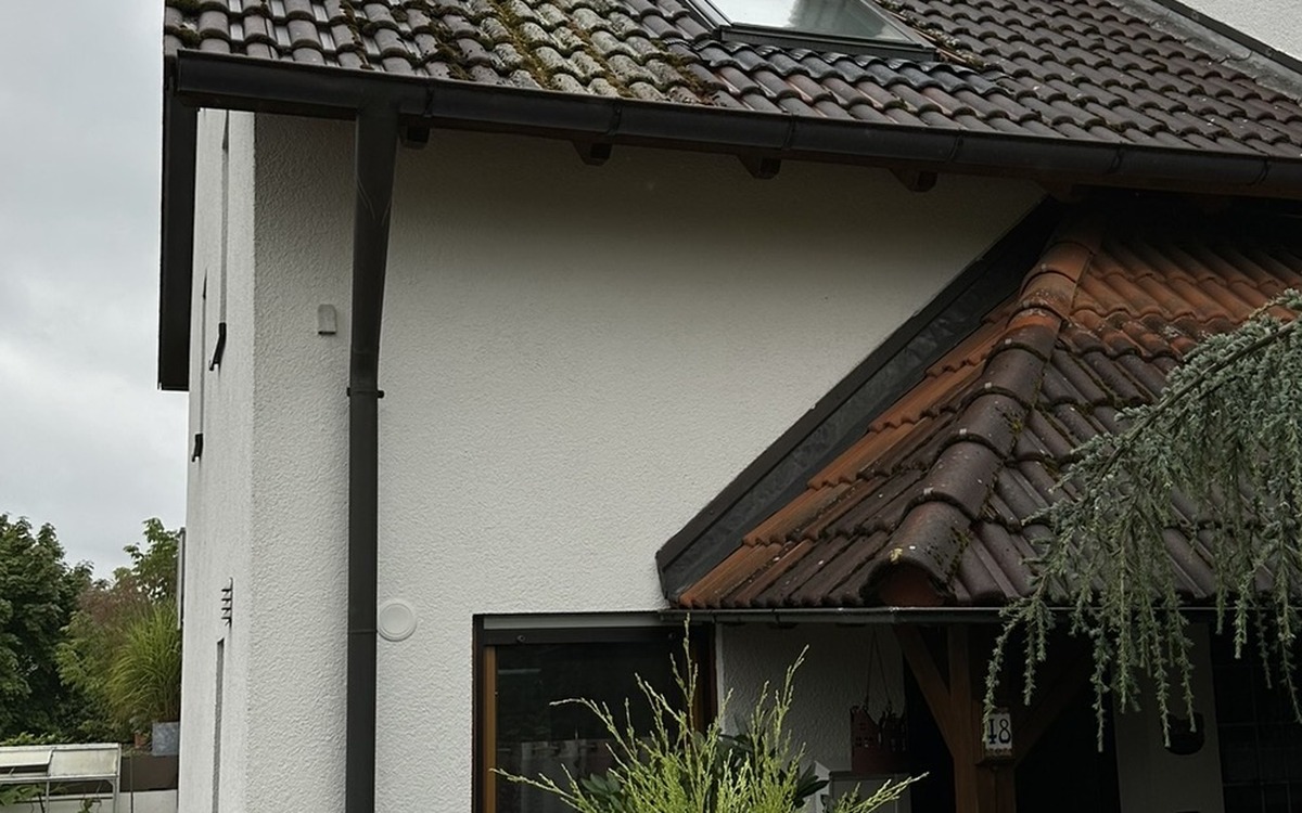 Dach vor der Reinigung